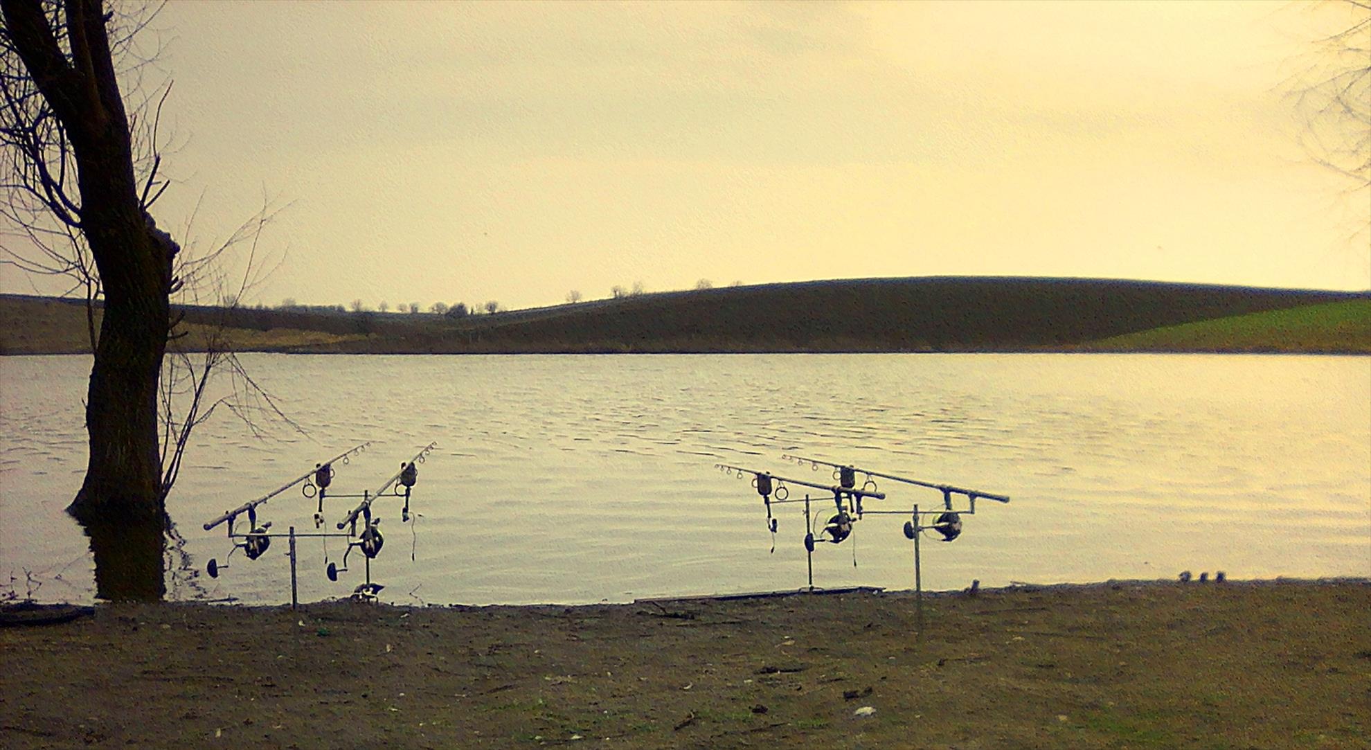 Greaca Cercani 31 ian.